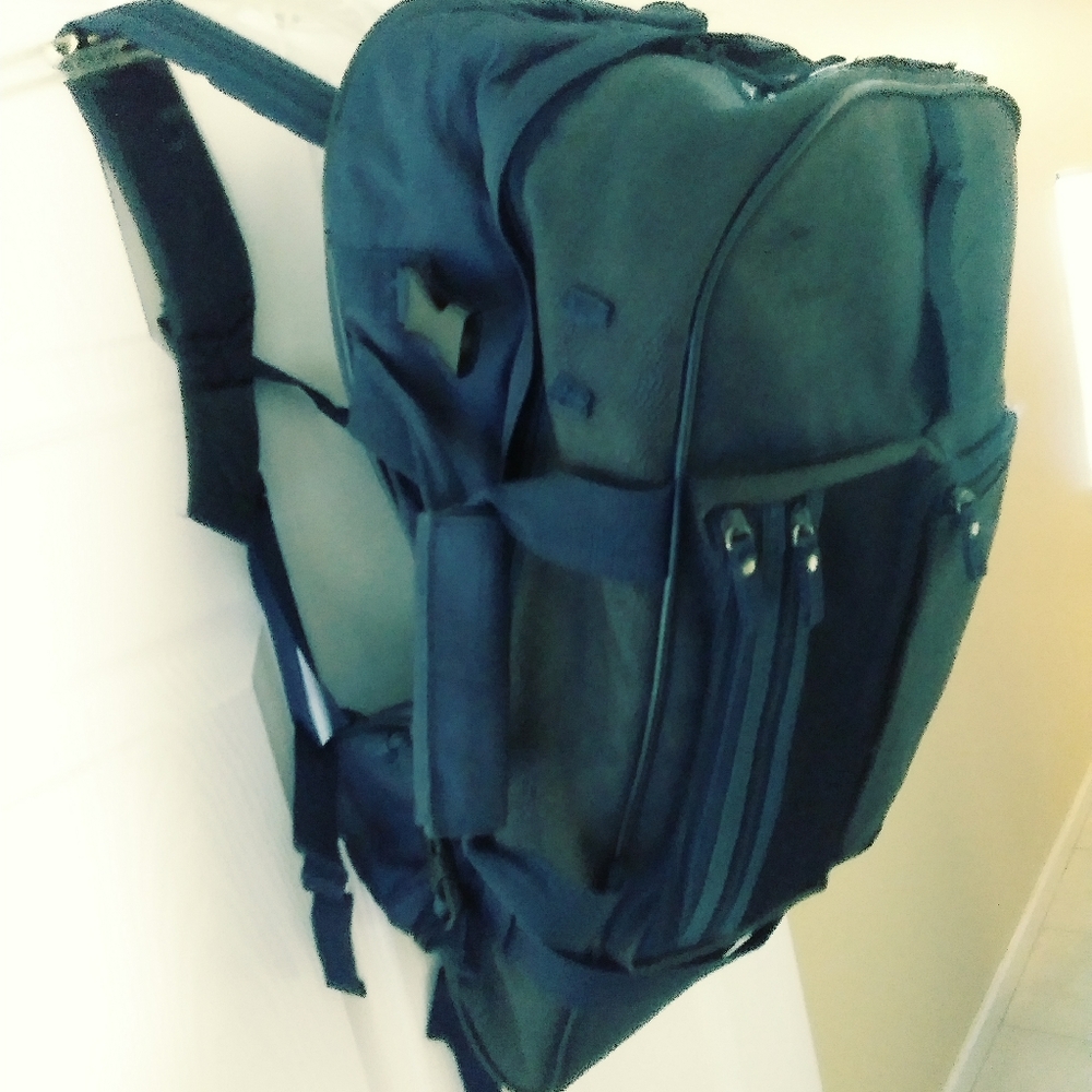 Royal Carribean Travel Bag & Back Pack.